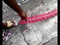 jai shastri nagar ganpati celebration
