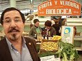 CANDIDATO VERDE AL SENADO DE GRAN CANARIA EN SAN MATEO CANDIDATO VERDE AL SENADO DE GRAN CANARIA EN SAN MATEO