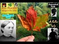 Justin Hayward Forever  Autumn Moody Blues