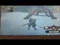 Dual Tigrex - 四週間ぶりにモンハン、ティガレックス 二頭