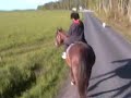 Daisy on a trail ride with 11-year-old Liz Daisy on a trail ride with 11-year-old Liz
