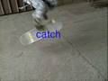 videos de sesh with nat