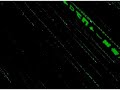 SImulacrum 06: Code for Code for Simulated Reality SImulacrum 06: Code for Code for Simulated Reality