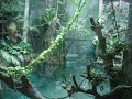 California Academy of Sciences
