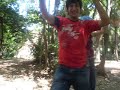 bailando con peluca bailando con peluca