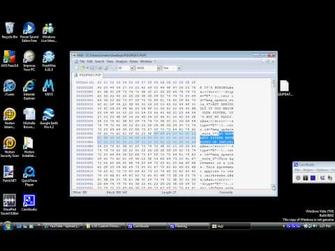 how to locate dpb in hex editor