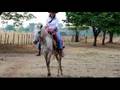 VIDEO CLIPE DE ELIVAINE
