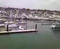 Isle Of Wight Isle Of Wight