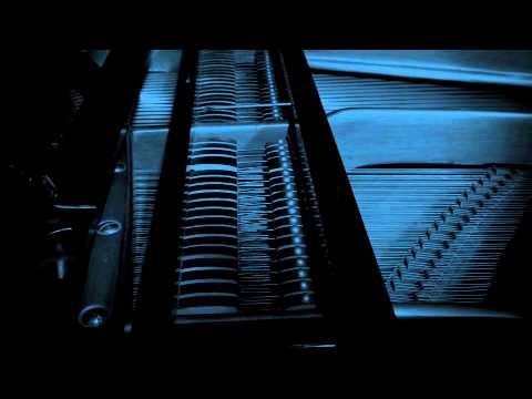 Chilliguns - Stíny
