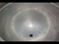 videos de 150 GALLON STAINLESS STEEL OPEN TOP KETTLE #13549