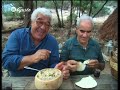International Highlights - Casu Marzu