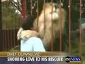 lion kiss lion kiss