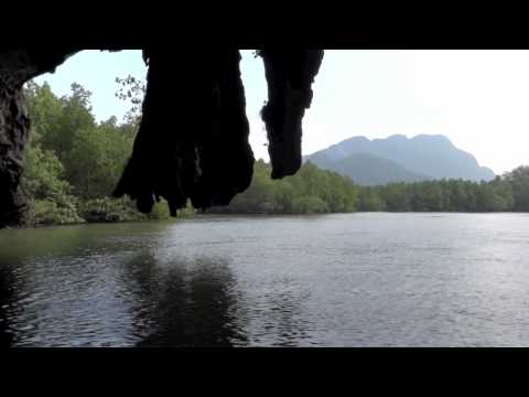 Image de prévisualisation YouTube