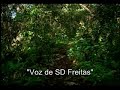 Camuflagem Dos Soldados(Audio Orignal do video)