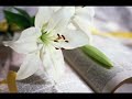 約書亞 