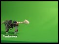 Pleo, the early days. Clip 19