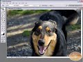 Adobe Bridge Tutorial - Why use Bridge? Adobe Bridge Tutorial - Why use Bridge?