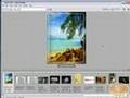 Adobe Bridge Tutorial - Why use Bridge?