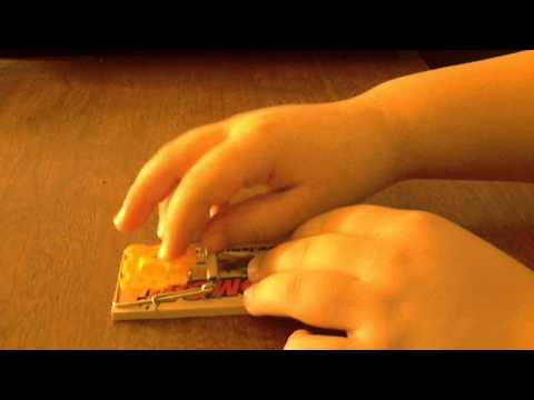 how to set a mousetrap