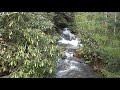 The Beauty of Fallingwater The Beauty of Fallingwater