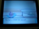 Pokemon Battle - Me (TsugaruMaXX) Vs Myles (Pikerchoo)