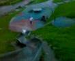 videos de amy bee slide 2