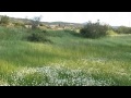 Manzaralar 001 (Donatan Harmanyeri)
