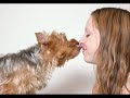 Puppy Love