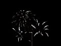 Fuegos Artificiales