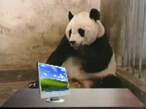 YouTube Preview Image