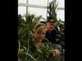 NBCC Woodstock Landscape Program