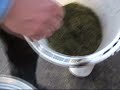 Pellets made from Grass Pellets made from Grass