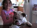 Watch 'El Video mas tierno de la Web'