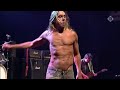 I wanna be your dog (Live)