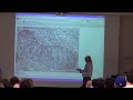 Citric Acid Cycle I
