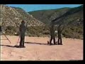 The Active Denial System (ADS) The Active Denial System (ADS)