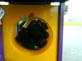 Tiggys 360 spin
