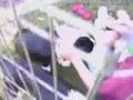 Visalia, Tulare County Animal Shelter, Video of dogs