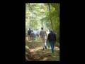 videos de Photo Gallery of Lake Janes, NC
