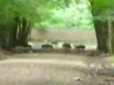 espace rambouillet