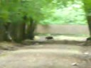 espace rambouillet