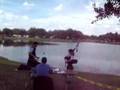 Zephyrhills celtic fest