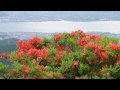 ��ܥå��⸶�ʥ�󥲥ĥĥ���:YouTube������=18��
