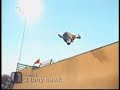 411VM - 10 Greatest Skate Videos - Good as Gold Issue 50