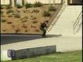 411VM - 10 Greatest Skate Videos - Good as Gold Issue 50
