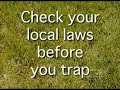 Osmocote Gardening Tip 5 Insect Pests Osmocote Gardening Tip 5 Insect Pests