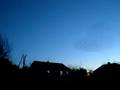 Starlings flocking before roosting