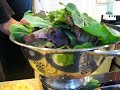 Making Green Juice in the Omega 8005 Juicer (part 1 of 2)