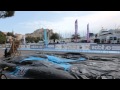 Corsica Bike Trip | Edit 2012 | HD