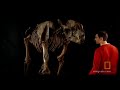 Giant Prehistoric Bear